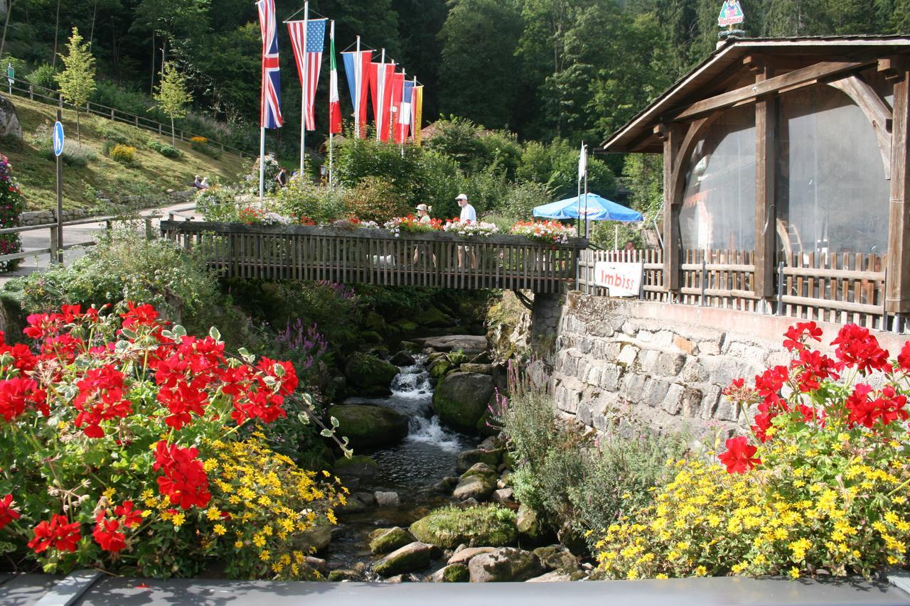 Готель Gaestehaus Zur Lilie Triberg im Schwarzwald Екстер'єр фото