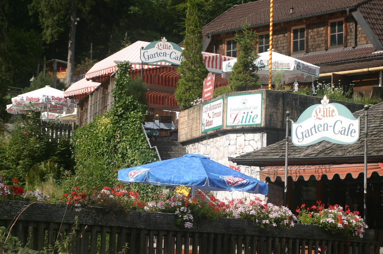 Готель Gaestehaus Zur Lilie Triberg im Schwarzwald Екстер'єр фото