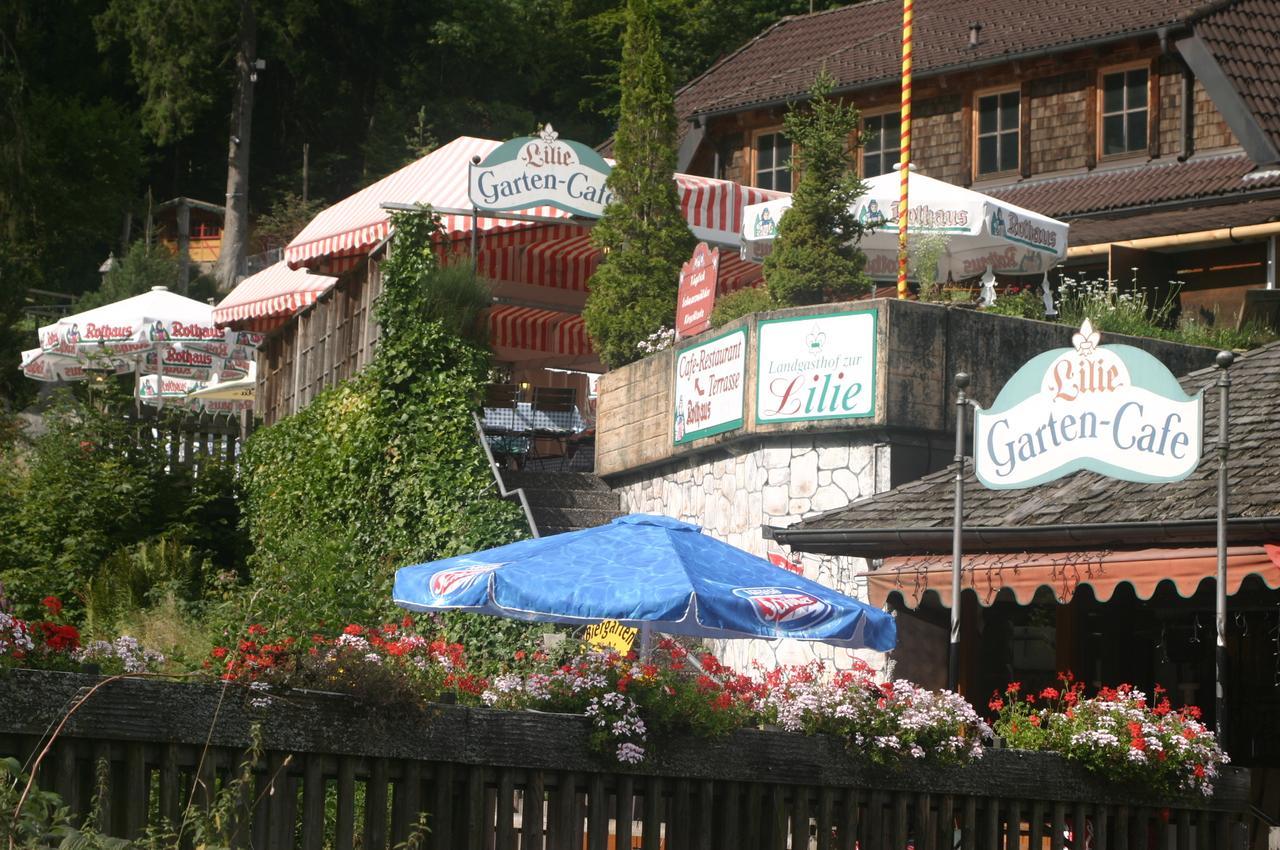 Gaestehaus Zur Lilie Triberg im Schwarzwald Екстер'єр фото