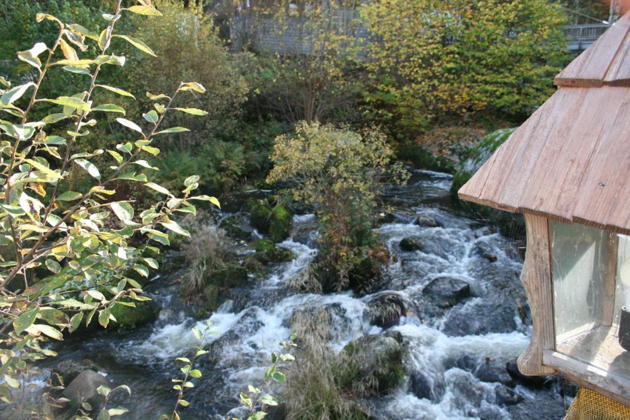 Готель Gaestehaus Zur Lilie Triberg im Schwarzwald Екстер'єр фото